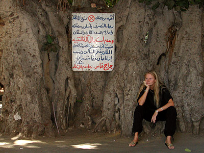 Steffi in Kairo, Copyright Stefanie Möhrle + Dr. Hans-Michael Hackenberg