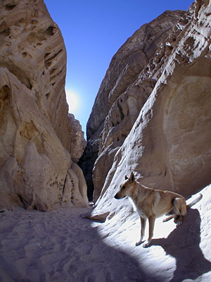 Ari im Hidden Canyon, Copyright Stefanie M&ouml;hrle