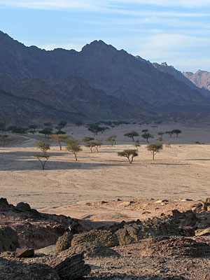 , Copyright Stefanie M&ouml;hrle