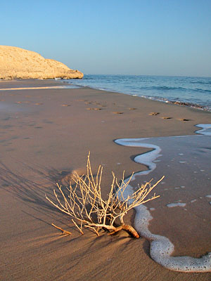 Marsa Bareika, Copyright Stefanie M&ouml;hrle