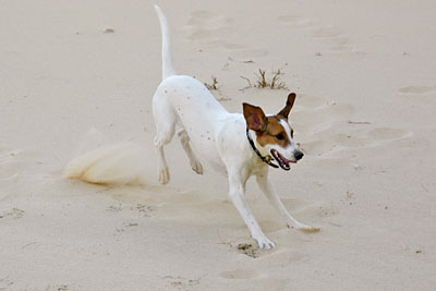 , Copyright Stefanie M&ouml;hrle