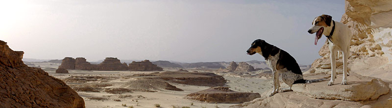 Wadi Rhilim, Copyright Stefanie M&ouml;hrle