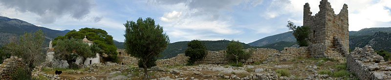 Aigosthena, Copyright Stefanie Möhrle