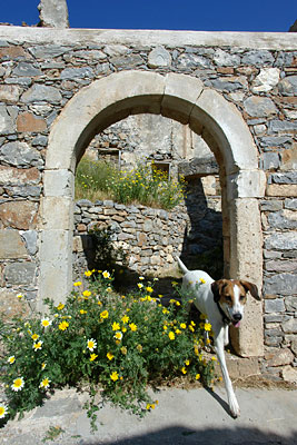 Lucy in den Ruinen, Copyright Stefanie Möhrle