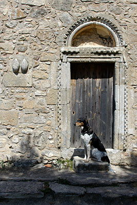 Lara, Copyright Stefanie Möhrle