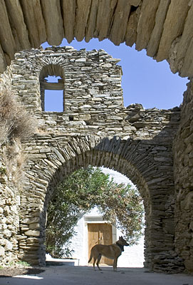 Ruine, Copyright: Stefanie Möhrle