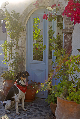 Kleine Gartenoasen in Oia, Copyright Stefanie M&ouml;hrle