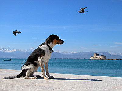 Lara, Copyright Stefanie M&ouml;hrle