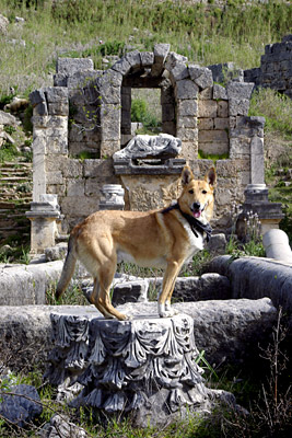 Ari vor dem Nymphaion, Copyright Stefanie Möhrle